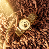 Ракета Коперник - День